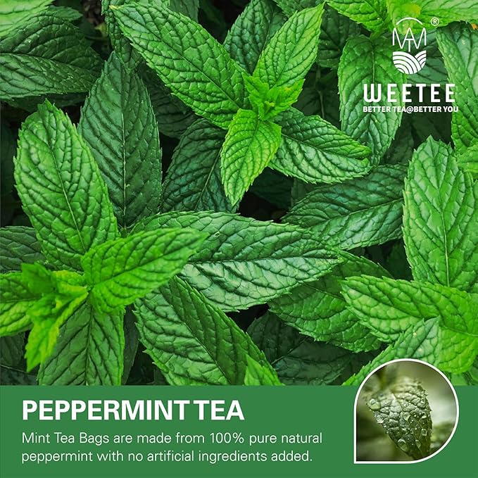 WT WEETEE Peppermint Tea Bags, Made with 100% Pure Peppermint, Fresh Minty Flavour Herbal Tea