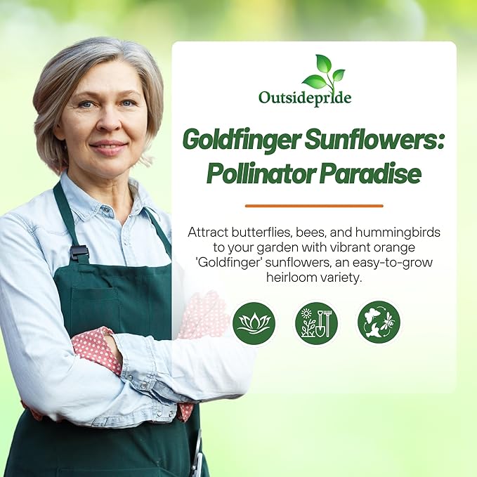 Outsidepride Goldfinger Mexican Sunflower Seeds - 1000 Pcs Annual, Easy-to-Grow, Orange Tithonia