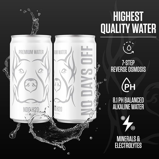 NDO H2O Premium Alkaline Water Case - 24 Pack (8.4 fl oz, Still) | Reverse Osmosis Purified Canned
