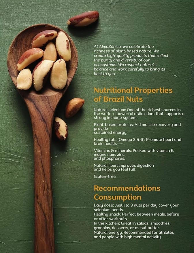 ALMA ZÓNICA – Raw unsalted premium Brazil Nuts, 1 pound (16oz) | Unsalted, Gluten-Free, Kosher |