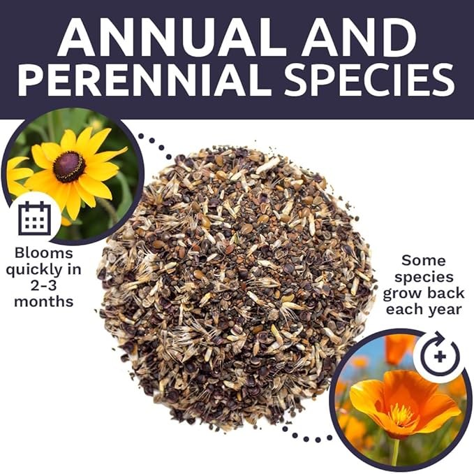 California Wildflower Mixture - Bulk 1/4 Pound Bag - Over 30,000 Native Seeds - Open Pollinated and