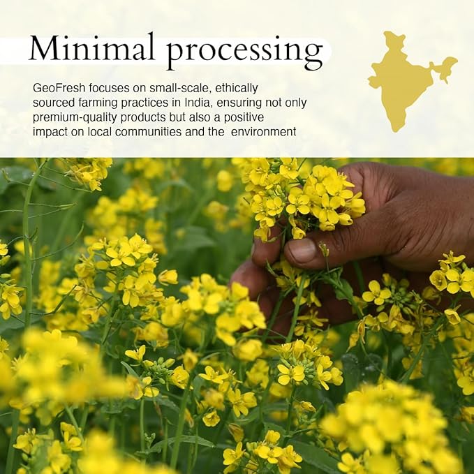 Geo-Fresh Organic Yellow Mustard Powder 1.76 oz - Dry Mustard Powder for Cooking - Ground Yellow