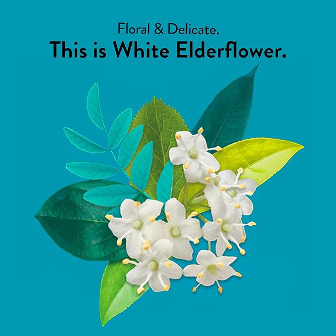Choice Organic White Elderflower & Green Tea, Caffeinated, 16 Bags (Pack Of 6)