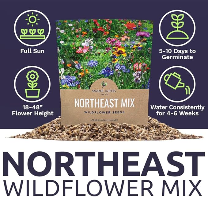 Northeast Wildflower Seeds - Extra Large 1 Ounce Packet - Over 7,500 Native Seeds - Open Pollinated