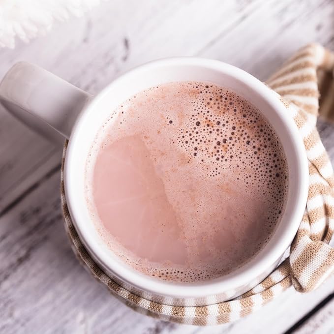Nutmeg State Nutrition - High Protein Hot Cocoa Mix, Low Calorie Hot Chocolate Protein Drink, 15g