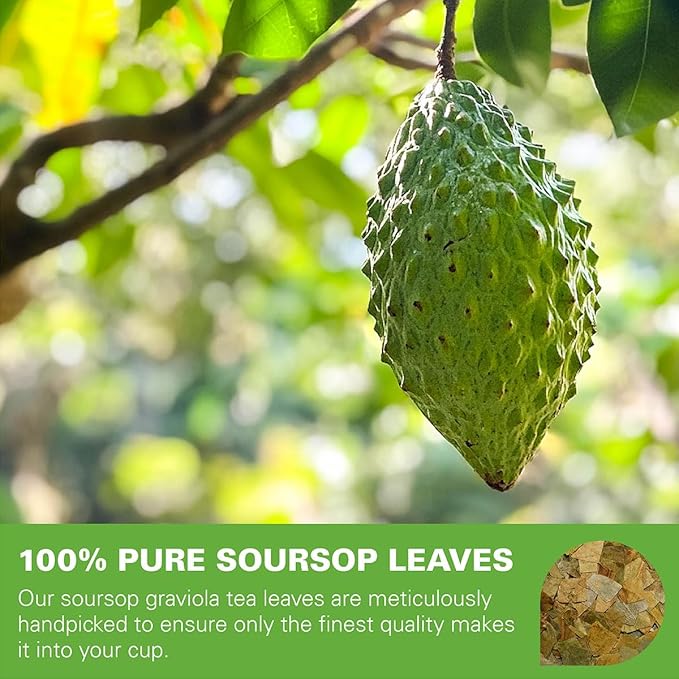 WT WEETEE Soursop Leaves Tea Bags, Made with 100% Pure Soursop Graviola/Guanabana Leaves, Natural