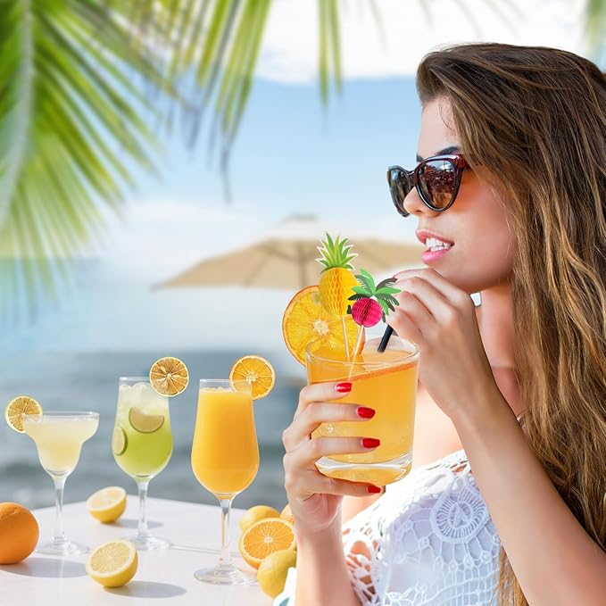 3-Pack Dehydrated ORANGE,LEMON & LIME,9oz total,Premium Craft Cocktail Garnish With10 Pcs Drink