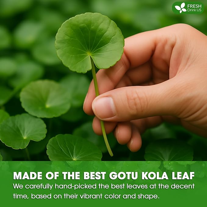FreshDrinkUS, Premium Gotu Kola Leaf Tea ??40 Tea Bags | Pure Dried Centella Asiatica Leaves |