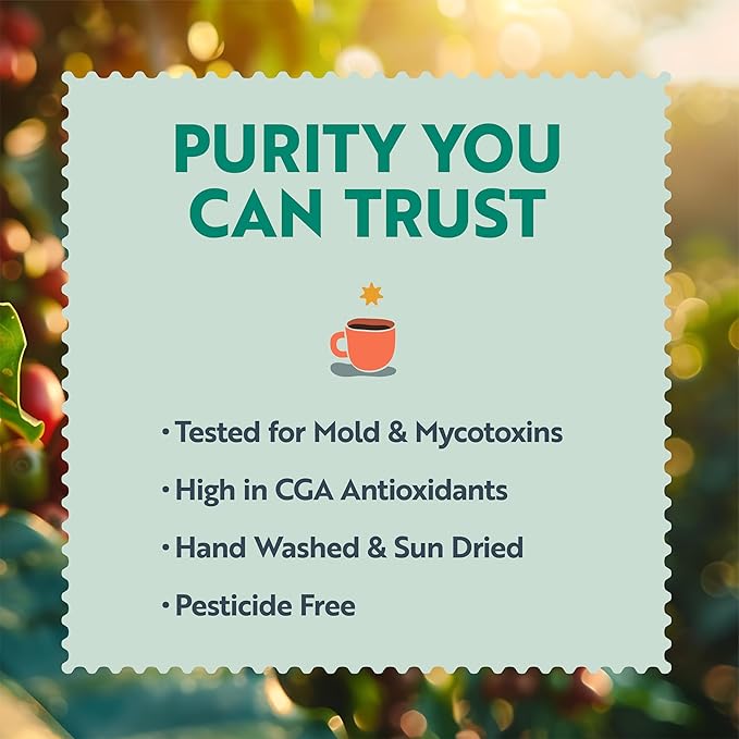 Clean Coffee Co. - Low Acid Medium-Dark Roast, Tested for Molds and Toxins, Papua New Guinea Blend