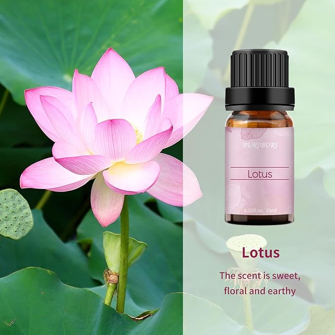 BURIBURI Lotus Essential Oil 100% Pure, Undiluted, Natural, Organic Aromatherapy Lotus Oils 10ML