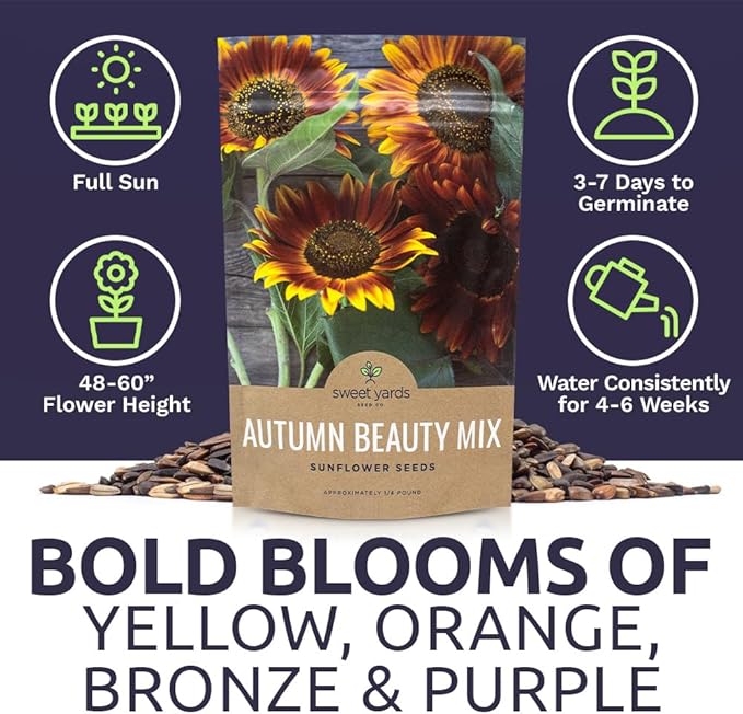 Autumn Beauty Sunflower Seeds – Bulk 1/4 Pound Bag – Over 5,000 Open Pollinated Non-GMO Wildflower