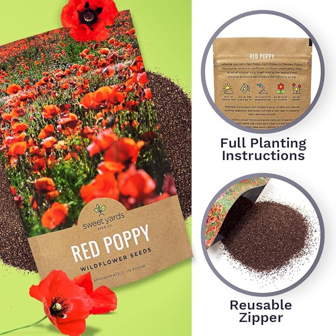 Red Poppy Seeds - Bulk 1/4 Pound Bag - Over 800,000 Wildflower Seeds
