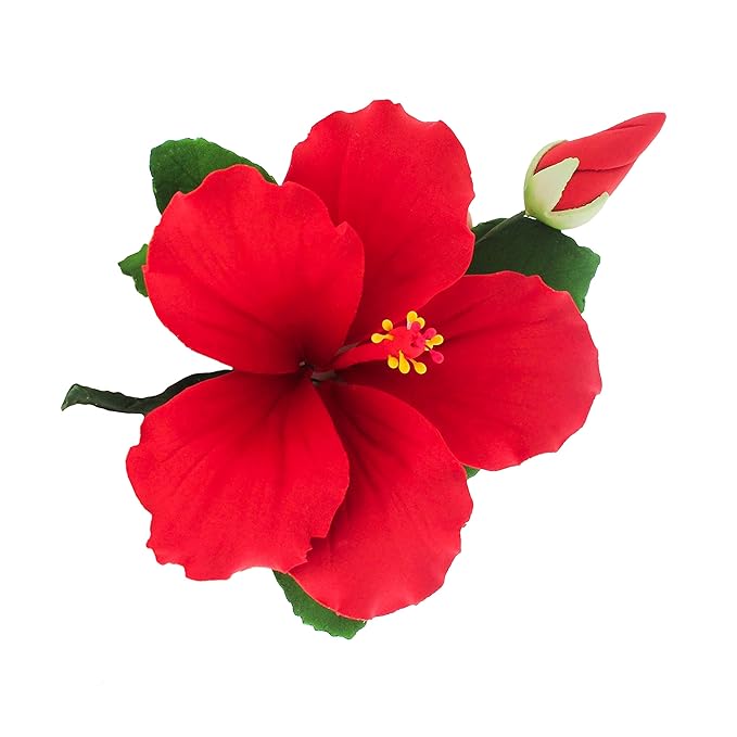 Global Sugar Art Hibiscus Sugar Cake Flowers Spray, Red Hawaiian Cake Flower Large, 1 Count by Chef