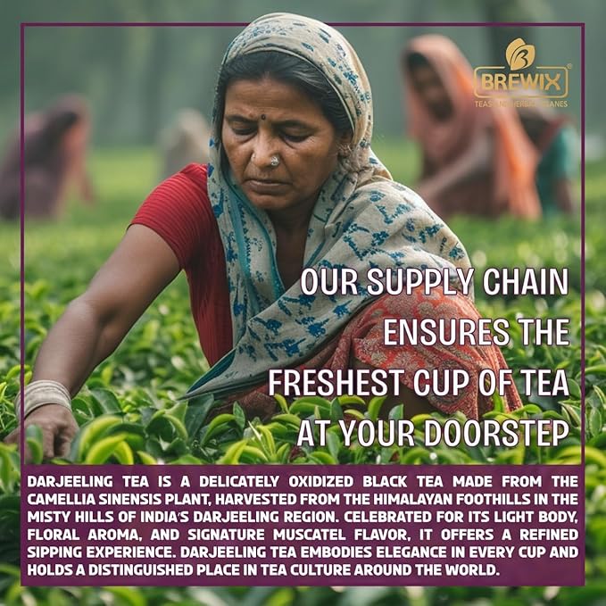 BREWIX, Darjeeling Tea Leaves from Hills of Himalayas (50+ Cups, 3.53oz/100g) | Pure Loose Leaf
