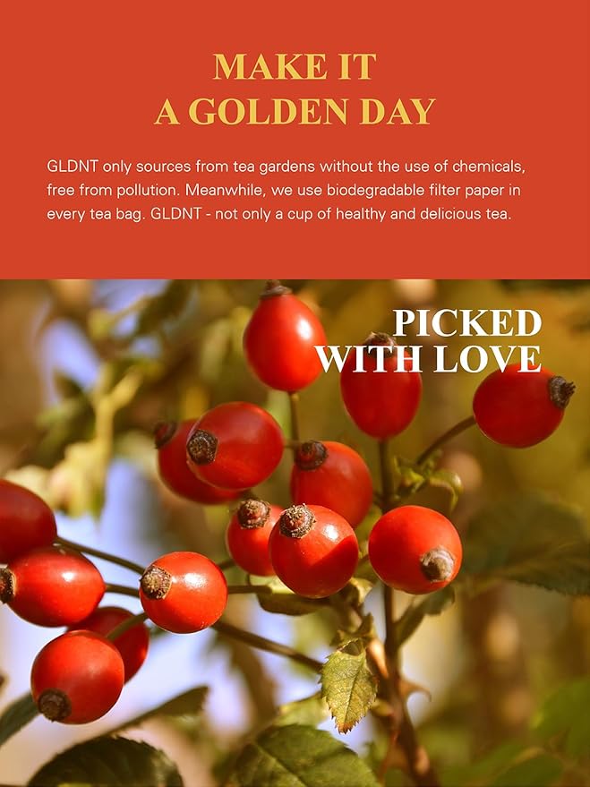 GLDNT Organic Rosehips Tea Bags, Organic Rose Hips, Fruity Flavor and Aroma, Caffeine Free, 100