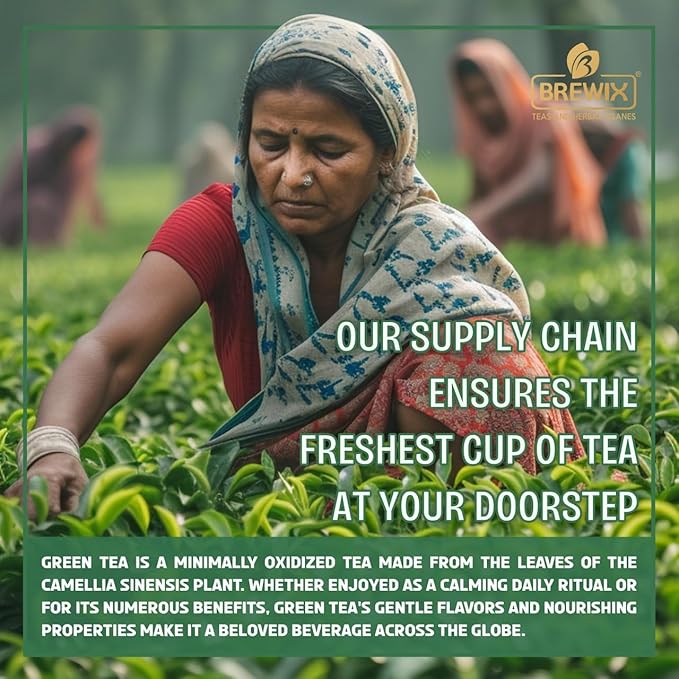 BREWIX, Green Tea Loose Leaf (50+ Cups, 3.53oz/100g) Gluten Free I High Elevation Grown Green Tea