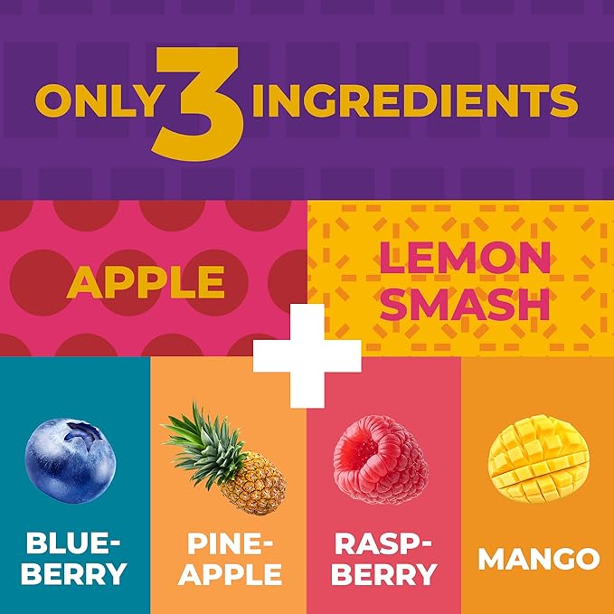 Fruit Snacks by Zest Delites, Fruit Leather Bars, Healthy Snacks for Adults & Kids, Vegan, Dried