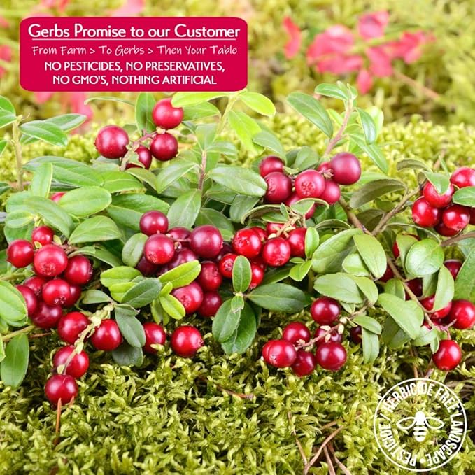 Gerbs Dried Cranberries 2 lbs. | Unsulfured, No Additives, Resealable Bag | Naturally Tart & Juicy
