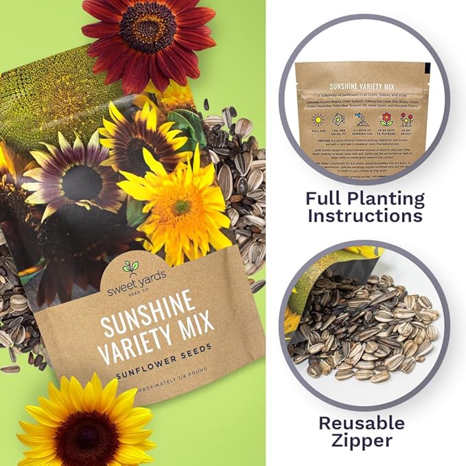 Bulk Sunflower Seeds - Variety Mix 10 Types of Beautiful Sunflowers - 1/4 Pound Bag Open Pollinated