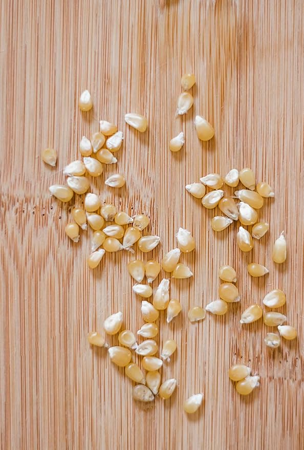 Amish Country Popcorn | 50 Lb Bag Ladyfinger Kernels | Old Fashioned, Non-GMO and Gluten Free (50lb