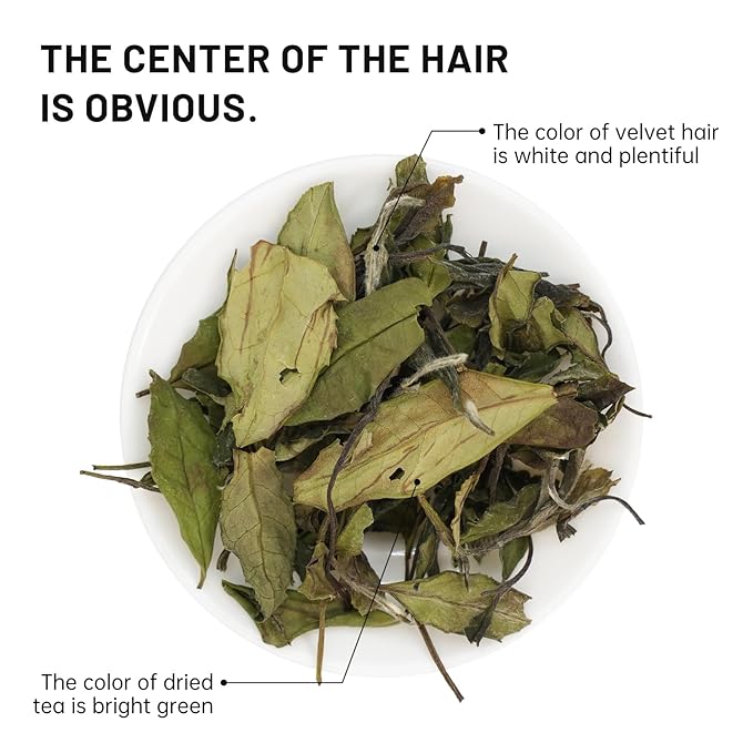 iTeaworld Gongmei White Tea Spring Harvest - Premium Chinese Tea from Fuding Fujian, Low Caffeine
