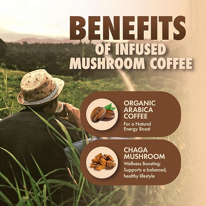 Sollo Infused Instant Chaga Mushroom Coffee Sticks (24 Servings) Memory & Clarity Support, 100%