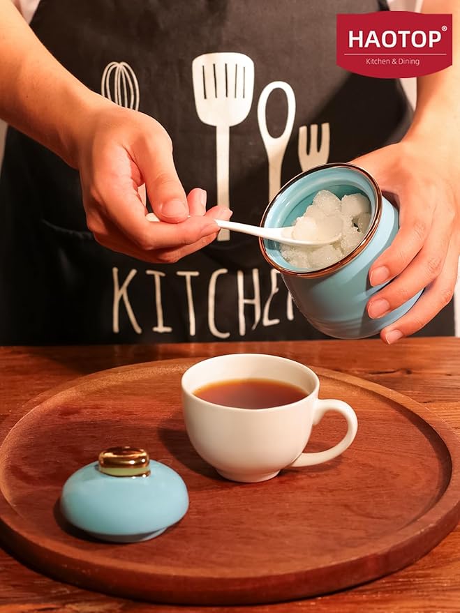 HAOTOP 12oz Sugar Bowl with Lid and Spoon,Simple Ceramic Sugar Jar Sugar Container Sugar Dispenser