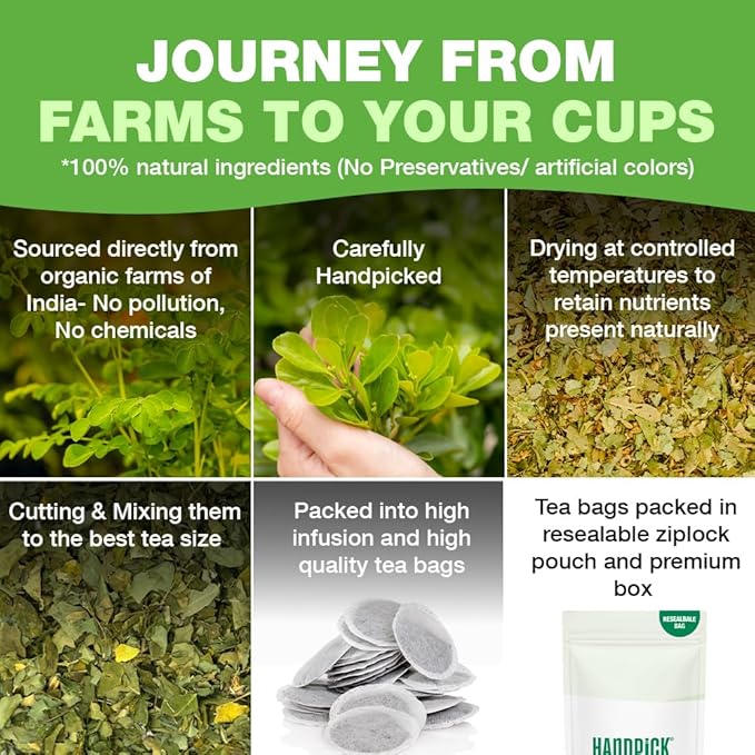 HANDPICK, Organic Moringa Tea Bags (100 Count), Pure Moringa Leaves | Authentic Indian Origin |