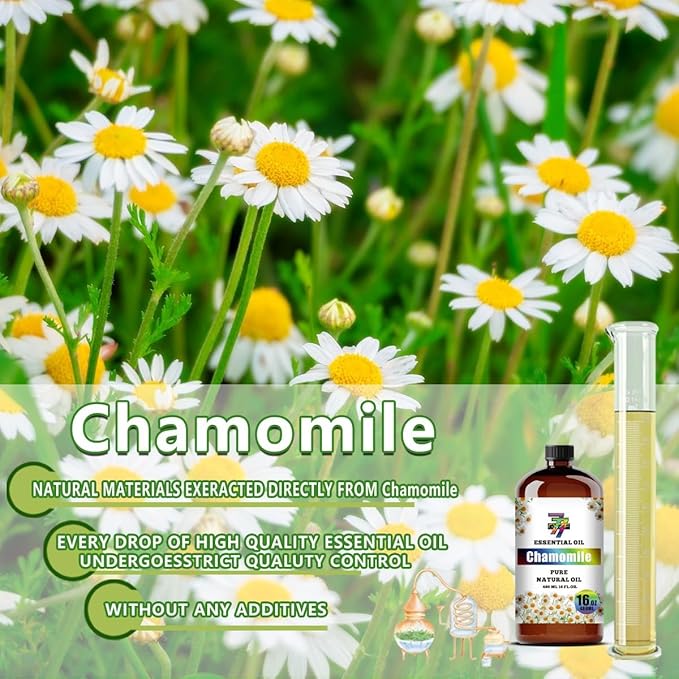 Chamomile Essential Oil (16 oz / 480 ml) ??Chamomile Oils for diffusers, humidifiers, Home Baths