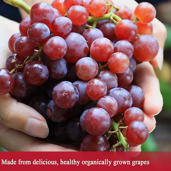 De La Rosa Organic Red & White Wine Vinegar, Raw & Unfiltered, with the “Mother”, Kosher for