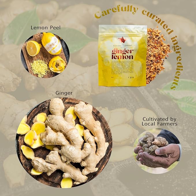 Ginger Lemon Tea, Loose Leaf Herbal Tea – Helps Reduce Nausea and Motion Sickness – Detox &