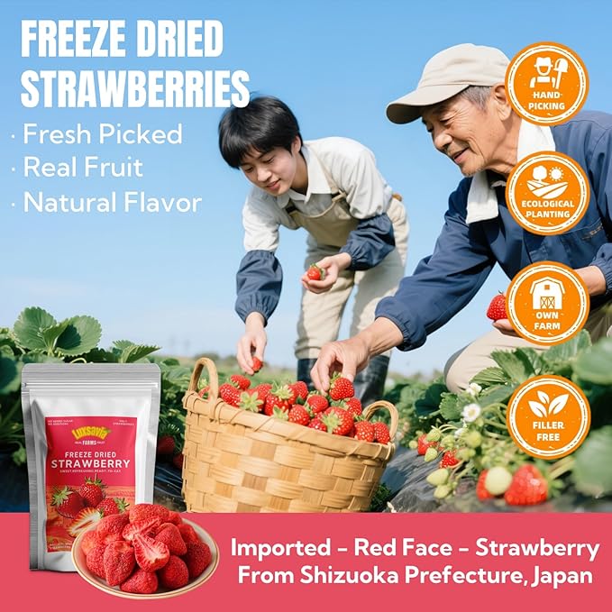 Premium Freeze Dried Strawberries 50-55 per bag,Whole Big Natural Dried Strawberries No