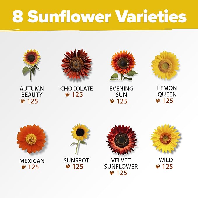 Home Grown Sunflower Seeds for Planting | 8 Varieties |1000+ Non-GMO Sun Flower Seeds Packets to
