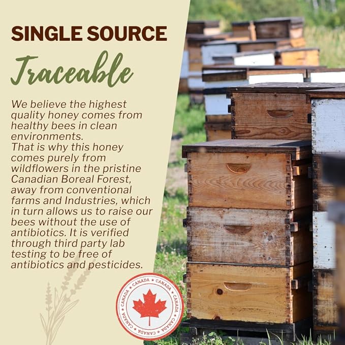 Oneroot 100% Canadian Flower Honey - Honey Wildflower Unfiltered, Unheated & Creamed, Nutrient Rich