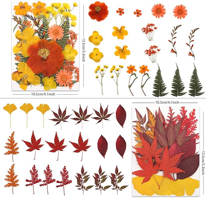 80P Autumn Tone Dried Flowers for Crafts - Real Natural Pressed Flowers in Warm Fall Hues for