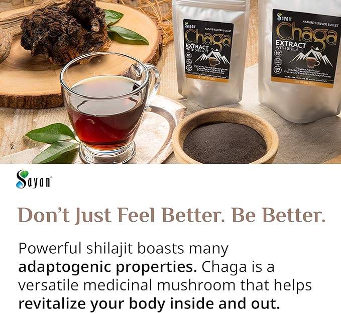 Sayan Siberian Chaga Mushroom Extract with Shilajit Powder (4 oz) ??Organic Antioxidant Tea