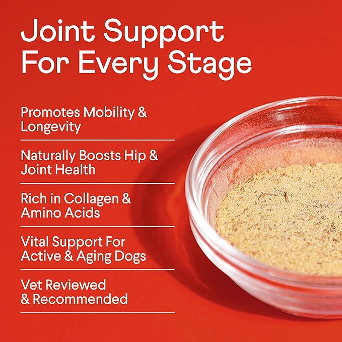 Finn Bone Broth Plus for Dogs | Joint & Mobility Topper Packed with Collagen & Amino Acids | Only 6