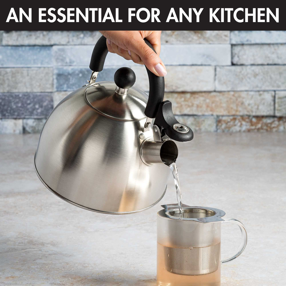 Primula Stewart Whistling Tea Kettle for Stovetop, Stainless Steel Stove Top Kettle with Fast Boil