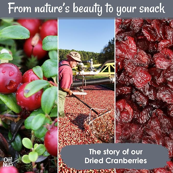 Oh! Nuts Dried Cranberries - Dehydrated Cranberries - 1 lb Bulk Bag - Cranberries Dried Fruit for