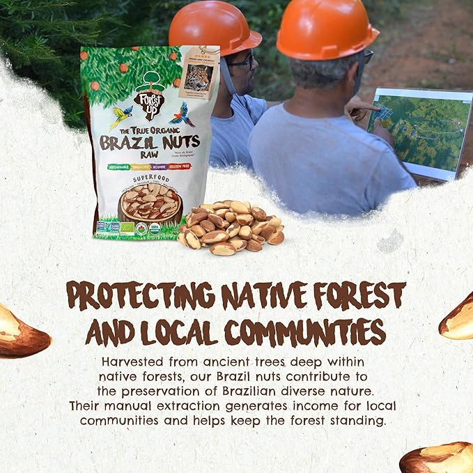 Snack The True Organic Brazil Nuts Medium Size 32 oz-2lbs – Raw and Unsalted – Kosher