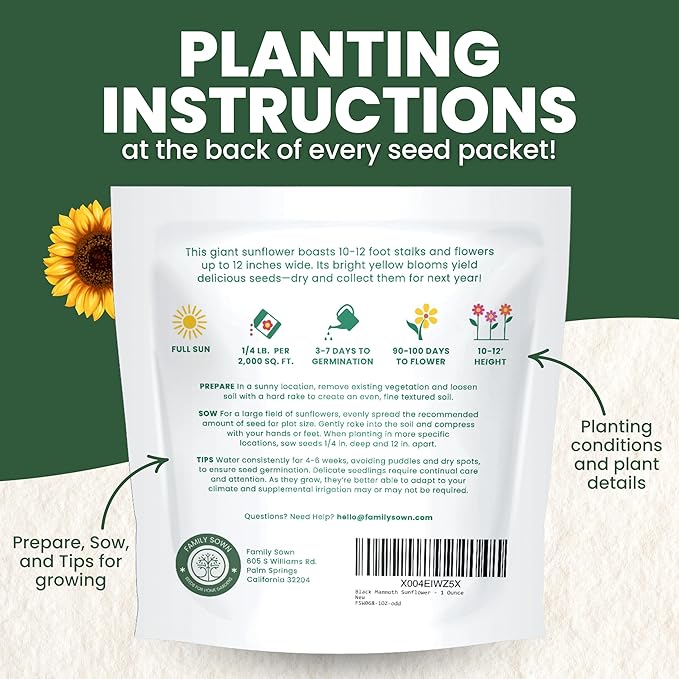 Black Mammoth Sunflower - Large 1 Ounce Packet - 250 Flower Seeds for Planting - Helianthus annuus