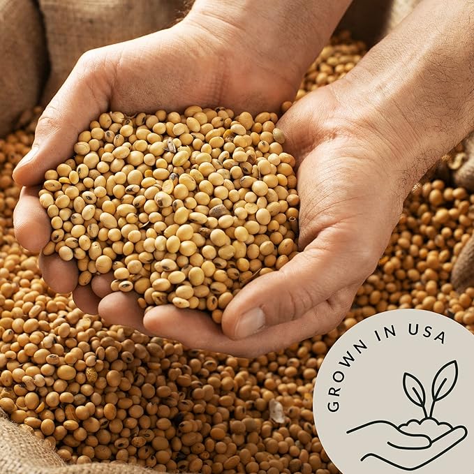 Be Still Farms Organic Soybeans Bulk (4.8 lb) - Soy Beans Dry - aka Soya Nuts Great for Edamame