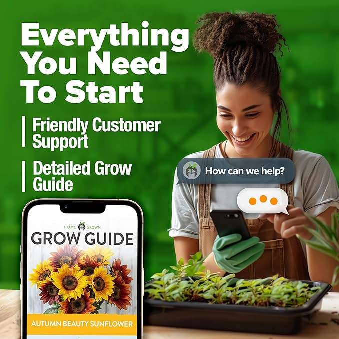 HOME GROWN 𝗨𝗦𝗔 𝗣𝗥𝗘𝗠𝗜𝗨𝗠 Autumn Beauty Sunflower Seeds to Plant 40 Heirloom Non-GMO
