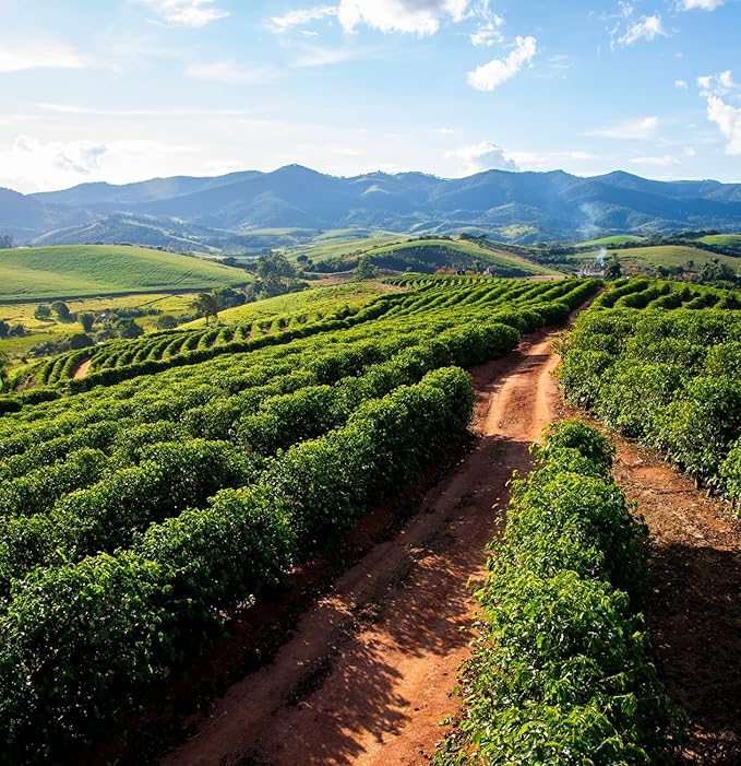 Black Tucano Specialty Coffee -Brazilian Whole Bean Medium Roast Coffee - Premium Blend Whole Bean