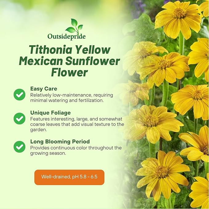 Outsidepride Yellow Torch Mexican Sunflower Seeds - 1000 Pcs Annual, Easy-to-Grow, Yellow Tithonia