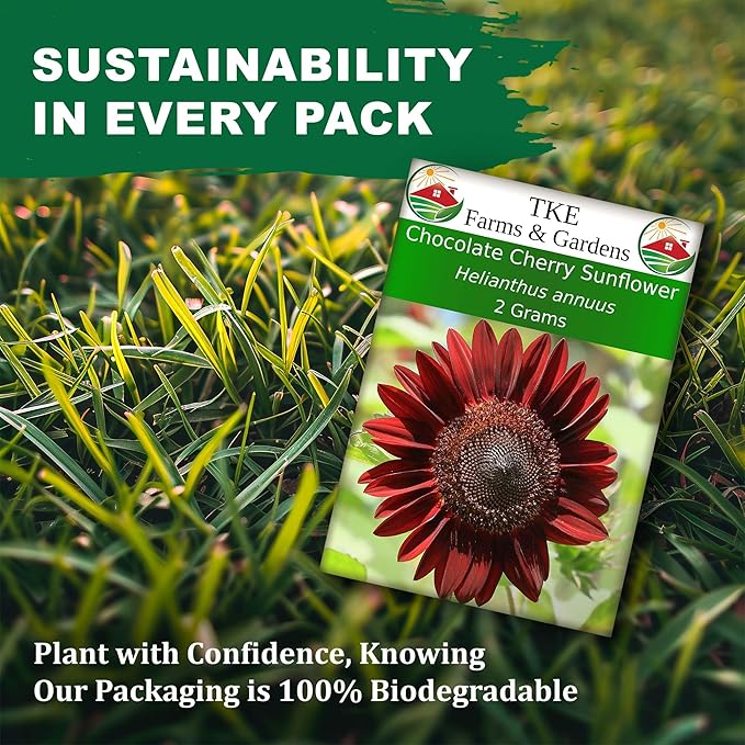 TKE Farms & Gardens - Chocolate Cherry Sunflower Seeds for Planting, 50+ Heirloom Non-GMO Seeds