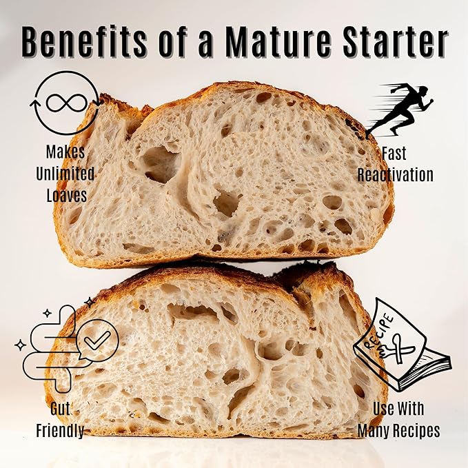 Dehydrated Sourdough Starter by Made With Loave | INCLUDES Recipe | Beginner Friendly | As Seen On