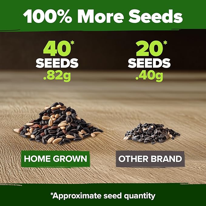 HOME GROWN 𝗨𝗦𝗔 𝗣𝗥𝗘𝗠𝗜𝗨𝗠 Autumn Beauty Sunflower Seeds to Plant 40 Heirloom Non-GMO