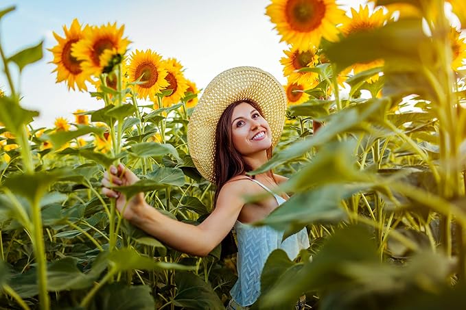 NatureZ Edge 2600+ Sunflower Seeds for Planting Bulk Variety Pack, Get More Sunflower Seeds to