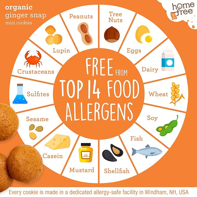 Homefree Mini Ginger Snap Cookies, Gluten Free, Nut Free, Vegan, School Safe and Allergy Friendly